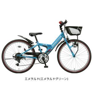 キッズ 子供用 自転車 ブリヂストン エクスプ...の詳細画像3
