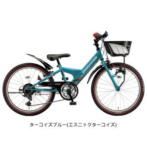 キッズ 子供用 自転車 ブリヂストン エクスプ...の詳細画像5