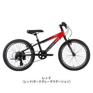 ネスト NESTO X-VALLEY KID2...の詳細画像1