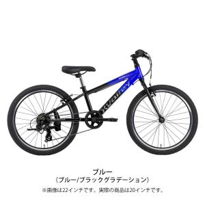 ネスト NESTO X-VALLEY KID2...の詳細画像2