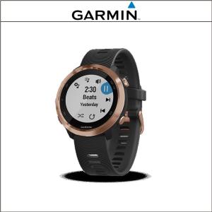 ランニングウォッチ Garminランキング ギガランキングｊｐ
