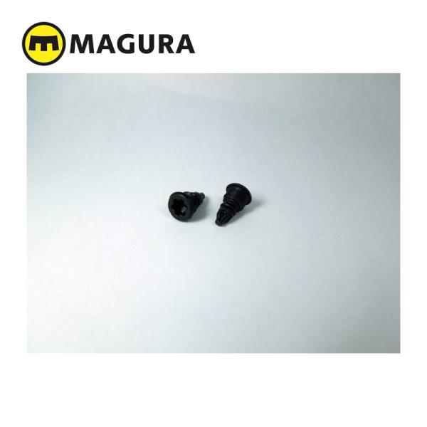 MAGURA/マグラ 15 EBTスクリュー　MT/HS/RT 各種ブレーキ適合　(2ヶ入)