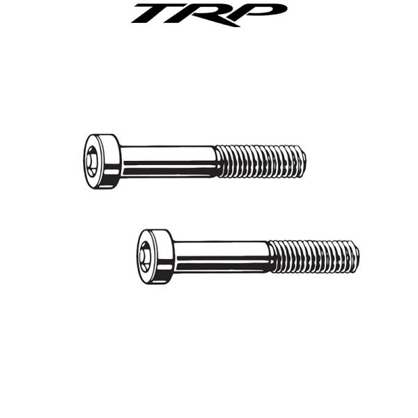 TRP キャリパー固定ボルト フラットマウントボルト M5x17mm ティーアールピー