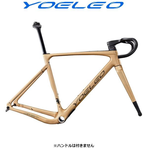 YOELEO ヨーレオ G21 DB ディスクブレーキ  グラベル フレームセットフレーム単体