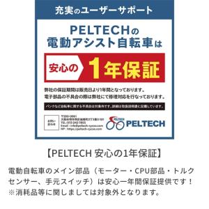 電動アシスト自転車 カゴ付き 20インチ PE...の詳細画像4