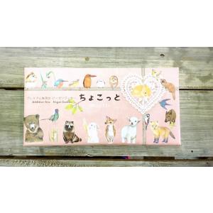 プレミアム無添加ビーガンクッキーちょこっとギフトM