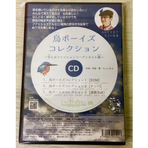 【たのしい野鳥おぼえ歌】鳥ボーイズコレクション...の詳細画像1