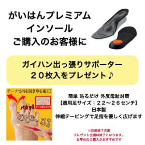 【プレゼント付】外反母趾 中敷 がいはんプレミ...の詳細画像1