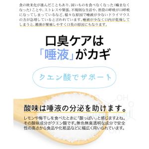 口臭 予防 タブレット healthylife...の詳細画像4