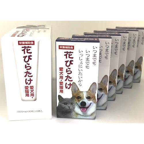 愛犬用 愛猫用 花びらたけ 【お得な６個セット 日時指定・代引き可能 】 MH-3 ハナビラタケ含有...