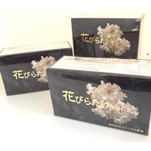 ハナビラタケ はなびらたけ BIO MH-3 お得な2個セット 320mg×60