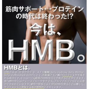 ダイエット サポート サプリメント healt...の詳細画像2