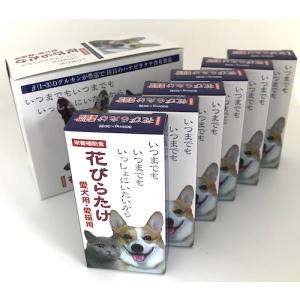 ハナビラタケ はなびらたけ BIO MH-3 お得な2個セット 320mg×60