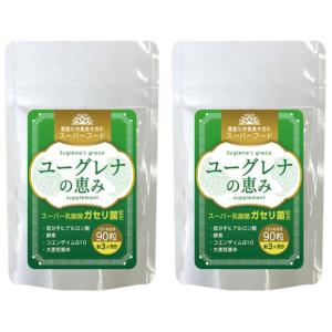 ユーグレナの恵み【お得な２袋セット】 豊富な栄養素を含むスーパーフード スーパー乳酸菌 ガセリ菌配合 １袋９０粒 約３ヶ月分 安心の自社発送｜cyoju