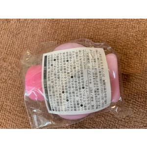 大塚製薬 エクエル パウチタイプ (120粒入...の詳細画像2