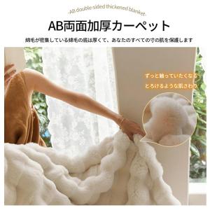 毛布 ブランケット ふわとろ毛布 もこもこ毛布...の詳細画像4