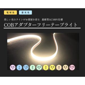 LEDテープライト COBアダプターレステープライト コンセントプラグ付 AC100V 3M 配線工事不要 簡単便利 間接照明 棚照明 CY-TPE
