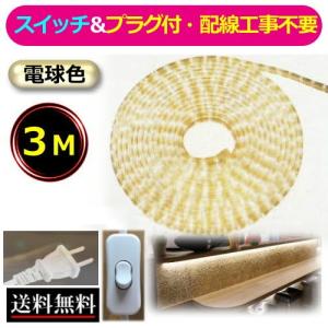 LEDテープライト スイッチ・コンセントプラグ付き AC100V 2M 配線工事