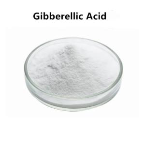 Gibberellic-農薬を殺し,3/giberellin/gibernel酸90% の成長を促進し,送料無料｜cyukusou