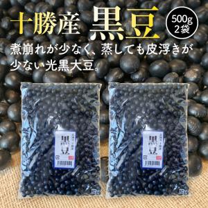 【令和7年度産】北海道十勝産黒豆500g・2袋