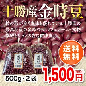 【令和5年度産】北海道十勝産金時豆500g・2袋｜帯広中央青果