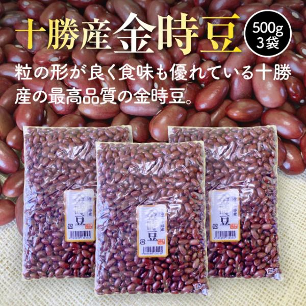 【令和7年度産】北海道十勝産金時豆500g・3袋