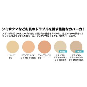 タトゥー隠しに ダーマカラー カモフラージュボ...の詳細画像1