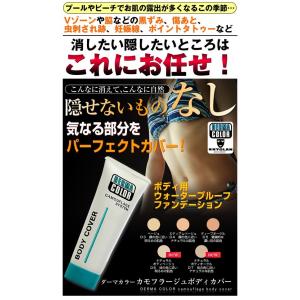 タトゥー隠しに ダーマカラー カモフラージュボ...の詳細画像2