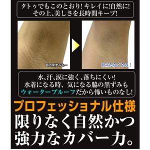タトゥー隠しに ダーマカラー カモフラージュボ...の詳細画像5