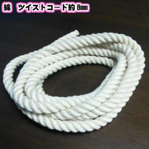 綿紐 コットンコード ツイストコード マクラメロープ 巾着紐 ハンドメイド 手芸ひも 太い紐 生成 約8mm 2m 5339 5339 2m D Collect Shop 通販 Yahoo ショッピング