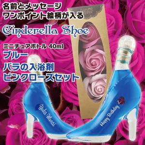 名入れ印刷 ガラスの靴 名前とメッセージが入るシンデレラシュ...