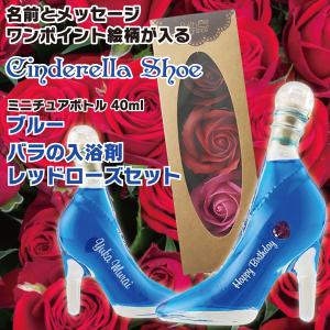 名入れ印刷 ガラスの靴 名前とメッセージが入るシンデレラシュ...
