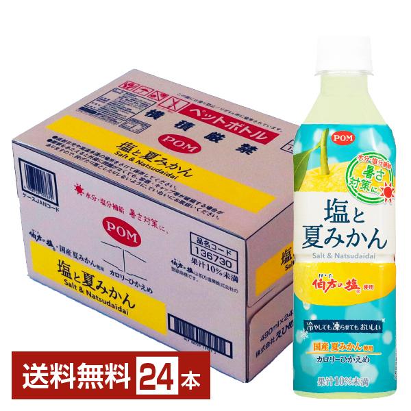 えひめ飲料 POM 塩と夏みかん 490ml ペットボトル 24本 1ケース 送料無料