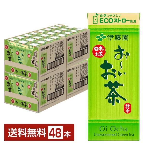 伊藤園 おーいお茶 250ml 紙パック 24本×2ケース（48本） 送料無料 緑茶