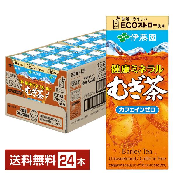 伊藤園 健康ミネラルむぎ茶 250ml 紙パック 24本 1ケース 送料無料