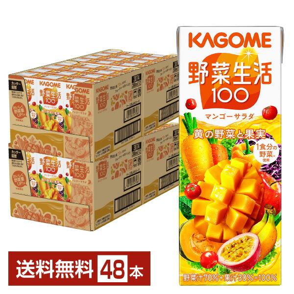 カゴメ 野菜生活 100 マンゴーサラダ 200ml 紙パック 24本×2ケース（48本） 送料無料