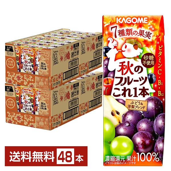 季節限定 カゴメ 秋のフルーツこれ一本 ぶどう＆洋梨ブレンド 200ml 紙パック 24本×2ケース...