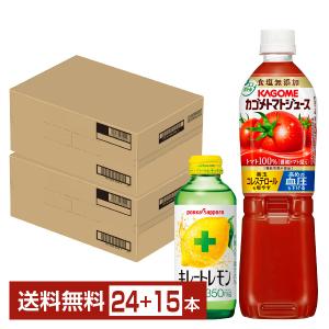 レッドブル社レッドブル・エナジードリンク 250ml 6本セット Red Bull