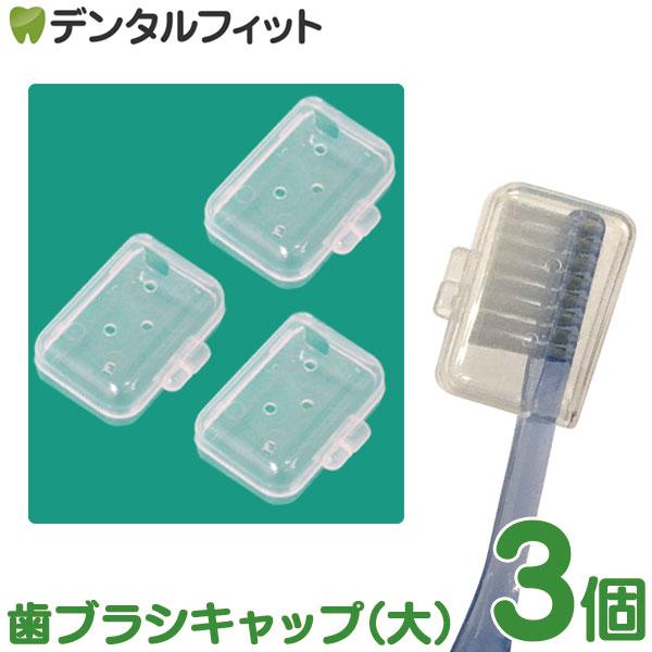 NEW 歯ブラシキャップ（大） / 3個入り(メール便12点まで)
