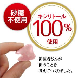 クール便対象 歯医者さんからのリカルチョコレー...の詳細画像2