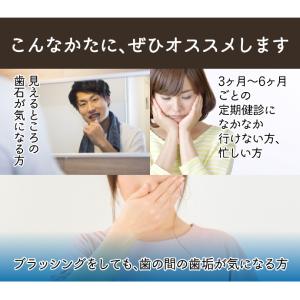 歯石取り スケーラー H5-33 実際に歯科医...の詳細画像2