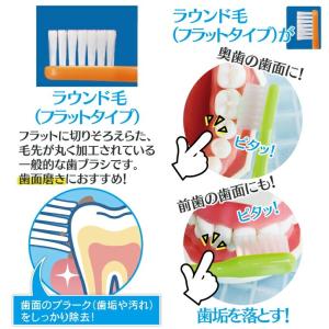 歯ブラシ Ci702 極薄ヘッド ラウンド毛 ...の詳細画像3