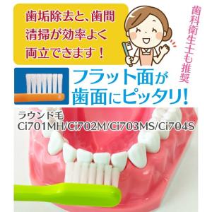 歯ブラシ Ci702 極薄ヘッド ラウンド毛 ...の詳細画像4