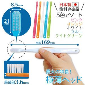歯ブラシ Ci702 極薄ヘッド ラウンド毛 ...の詳細画像5