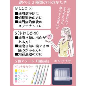 歯ブラシ ルシェロ P-20S ピセラ (ソフ...の詳細画像3
