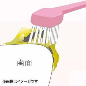 ホワイトニング 歯磨き粉 コンクール クリーニ...の詳細画像1