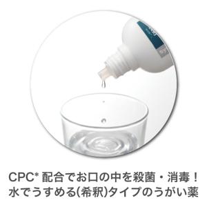 ライオン LION System システマ S...の詳細画像1