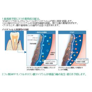 ライオン DENT. システマ Systema...の詳細画像1