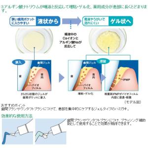 ライオン DENT. システマ Systema...の詳細画像2