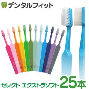 歯ブラシ Tepe テペ セレクトコンパクト ミディアム 5本入り(26392